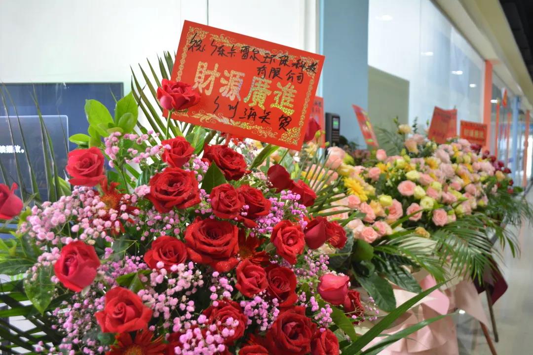 跑出世界速度,環保紙模先行者卡雷爾落地南沙
